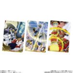 DIGIMON VISUAL ART COLLECTION CARD WAFERS 5