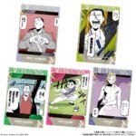 FULL METAL ALCHEMIST WAFER 2 3