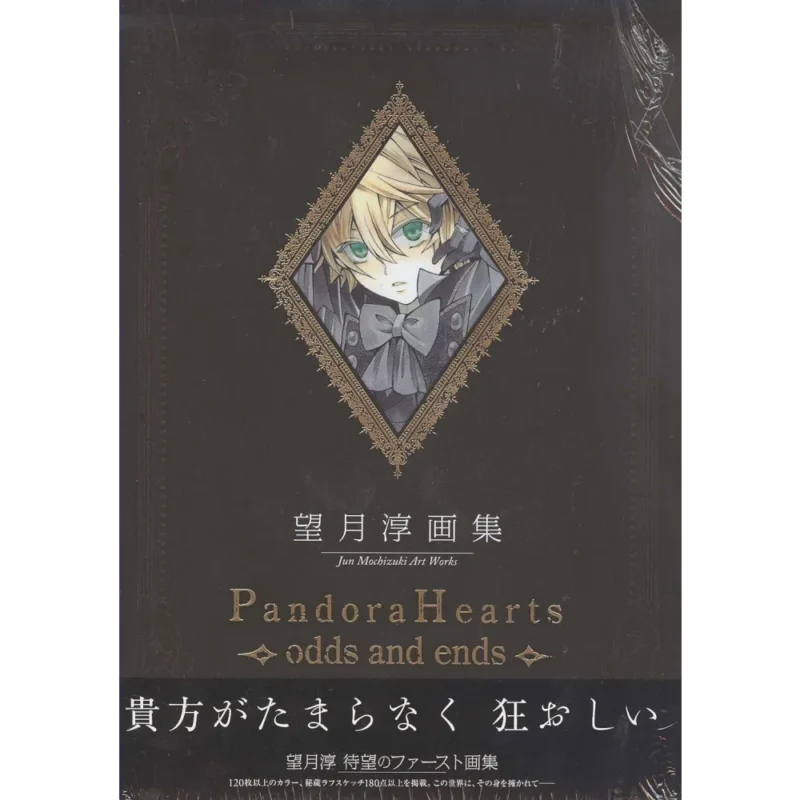JUN MOCHIZUKI ILLUSTRATION BOOK PANDORA HEARTS ODDS AND ENDS