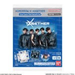 TOMORROW X TOGETHER (TXT) - LLAVERO VISUAL STICKER CON FUNDA