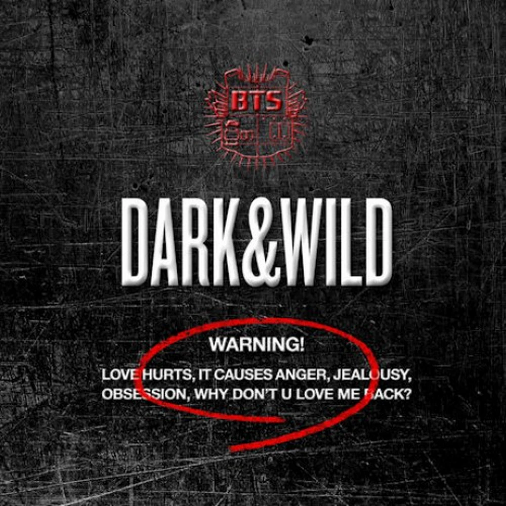 wild02 BTS - DARK & WILD