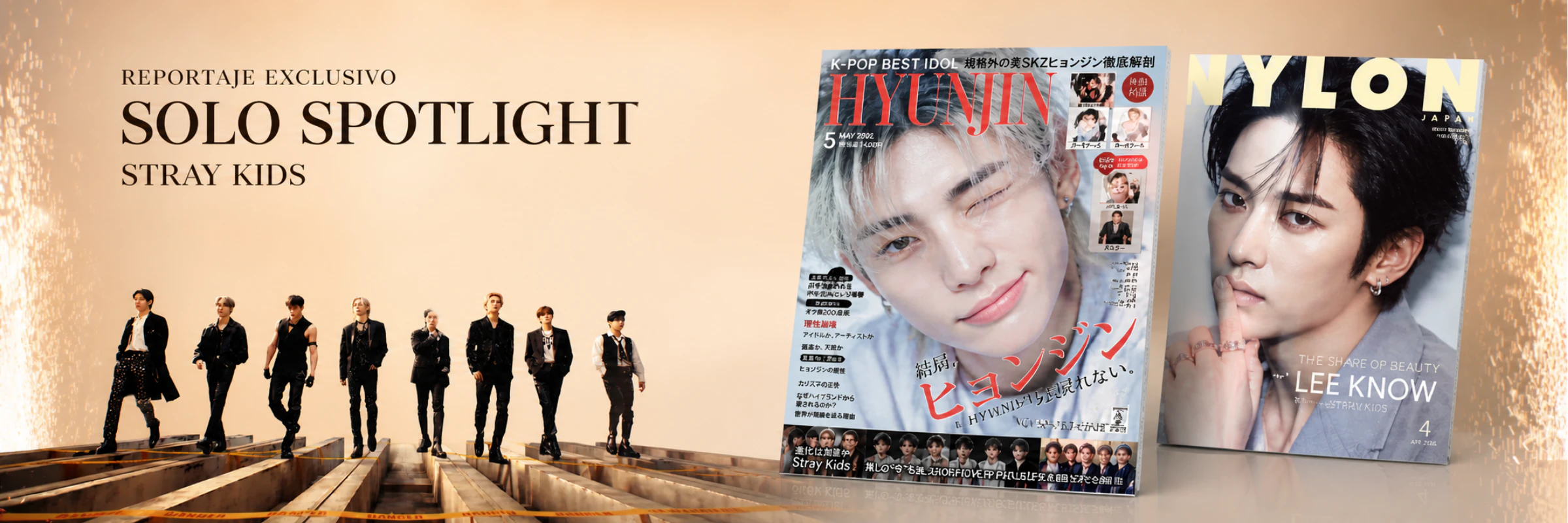 Revistas Nylon Japan