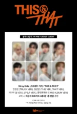 STRAY KIDS - THIS & THAT (BDM)