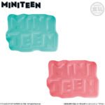MINITEEN (SEVENTEEN) KEY CHAIN 3