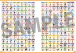 POKEMON OFFICIAL NATIONAL POKEDEX 1996-2026 5